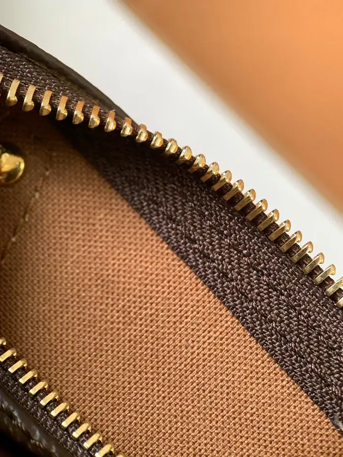Nano Speedy Handbag Premium Edition