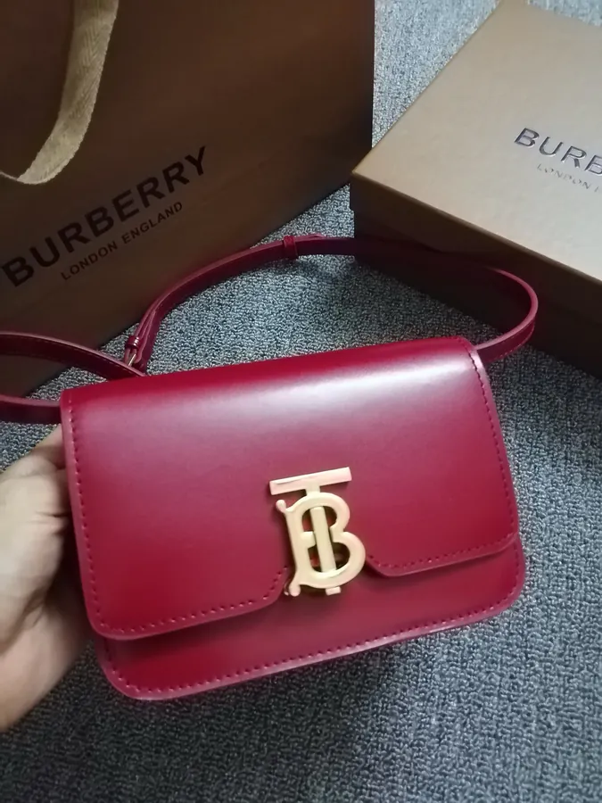 560 B House New TB Mini Leather Lock Bag