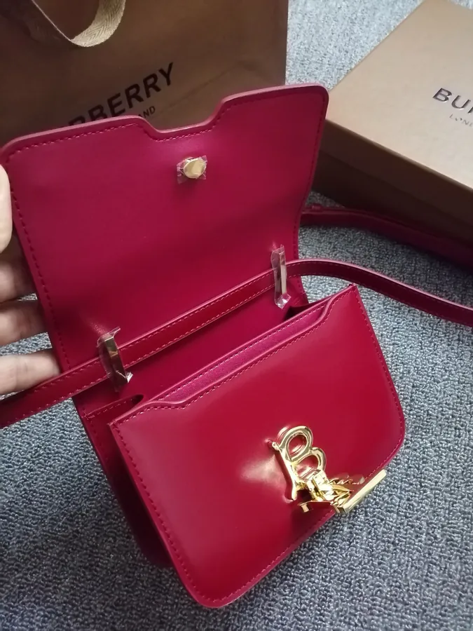 560 B House New TB Mini Leather Lock Bag