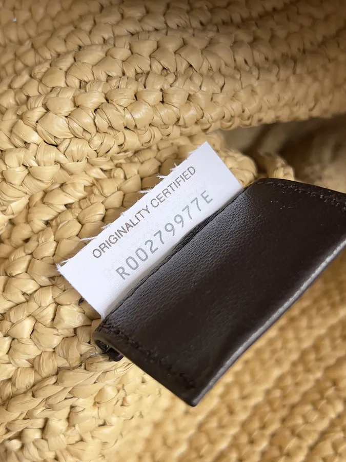 BOTTEGA VENETA SARDIE Bucket Bag Lightweight Grass Texture