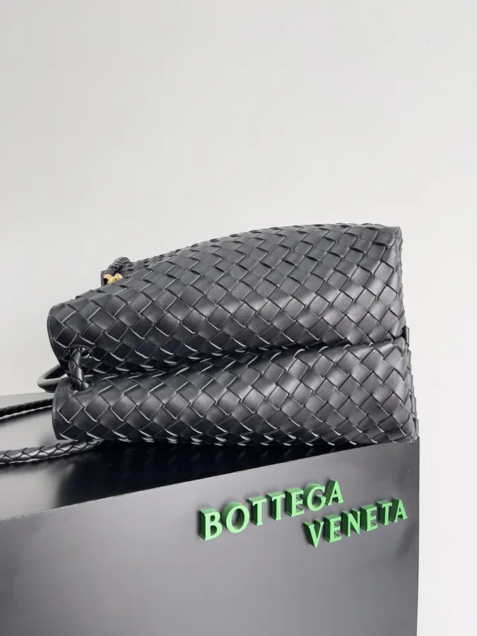 Bottega Veneta Summer Collection Andiamo Handbag