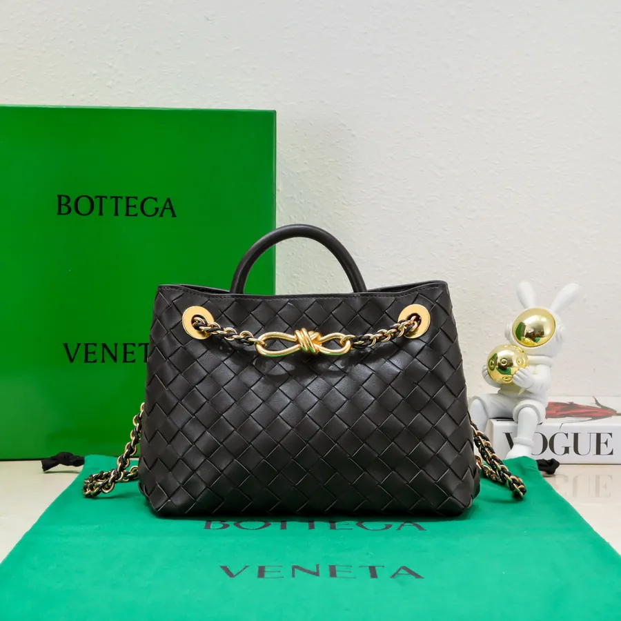 BOTTEGA VENETA Andiamo Mini Chain Bag