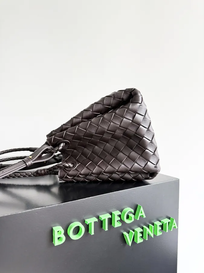 BOTTEGA VENETA 2025 Autumn New Medium Parachuta