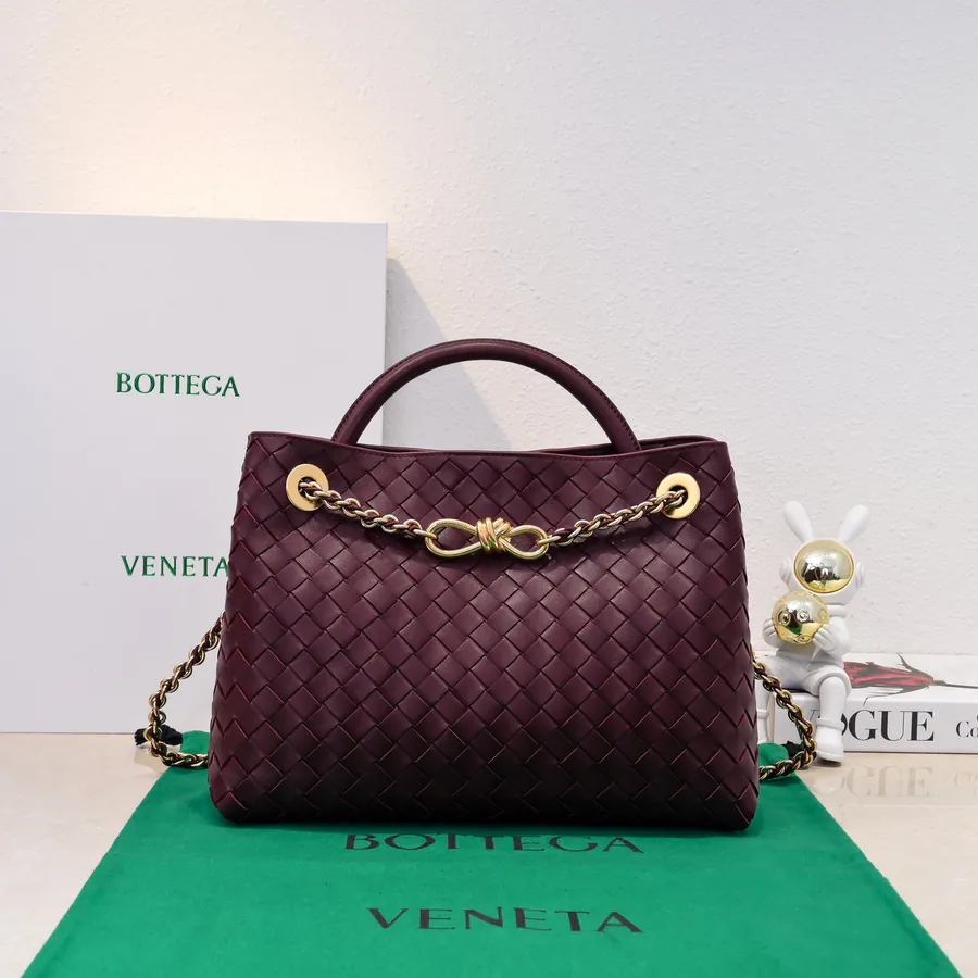 BOTTEGA VENETA Andiamo Small Chain Bag