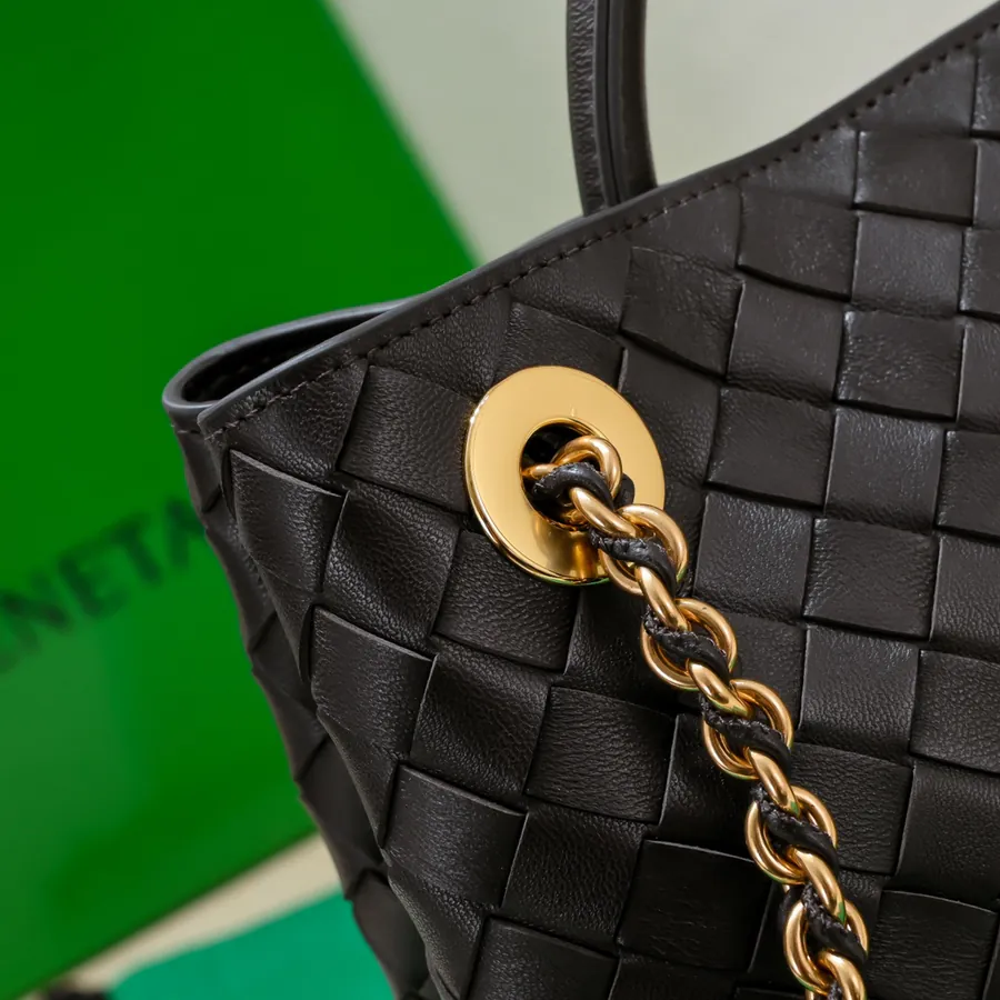 BOTTEGA VENETA Andiamo Small Chain Crossbody Bag
