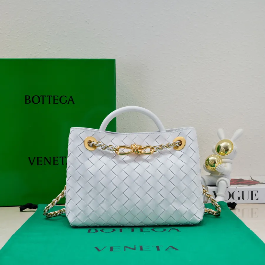 BOTTEGA VENETA Andiamo Mini Chain Bag