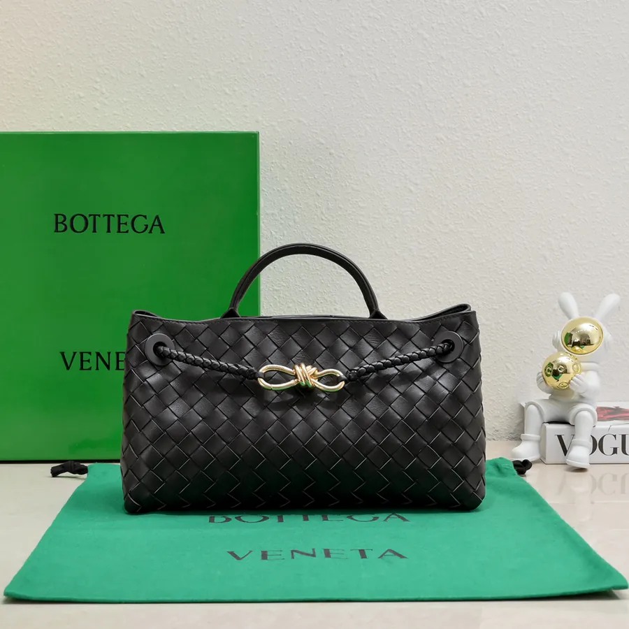 Bottega Veneta Andiamo Handbag