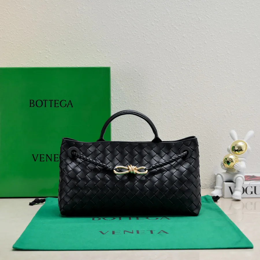 Bottega Veneta Andiamo Handbag