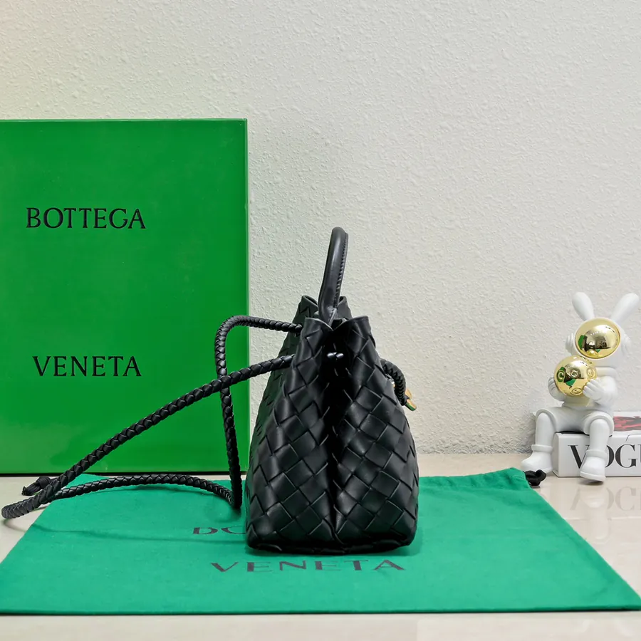Bottega Veneta Andiamo Handbag