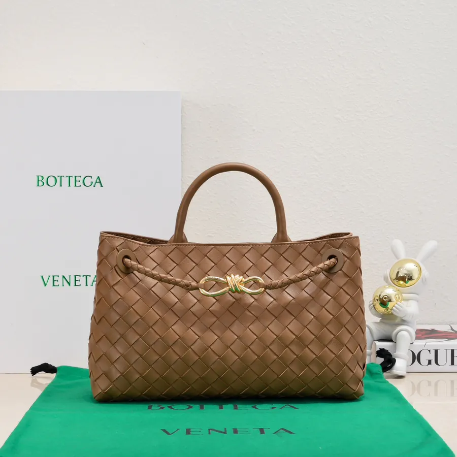 Bottega Veneta Andiamo Handbag