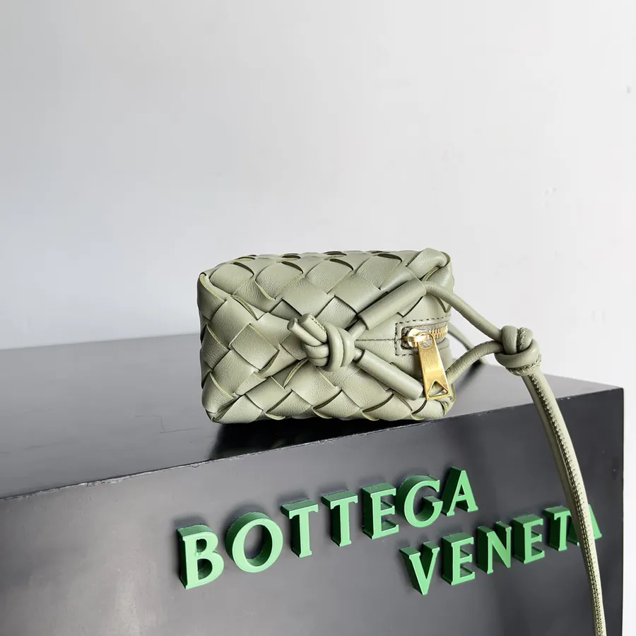 Botttega Veneta Loop Camera Bag in New Color (Generation 3)