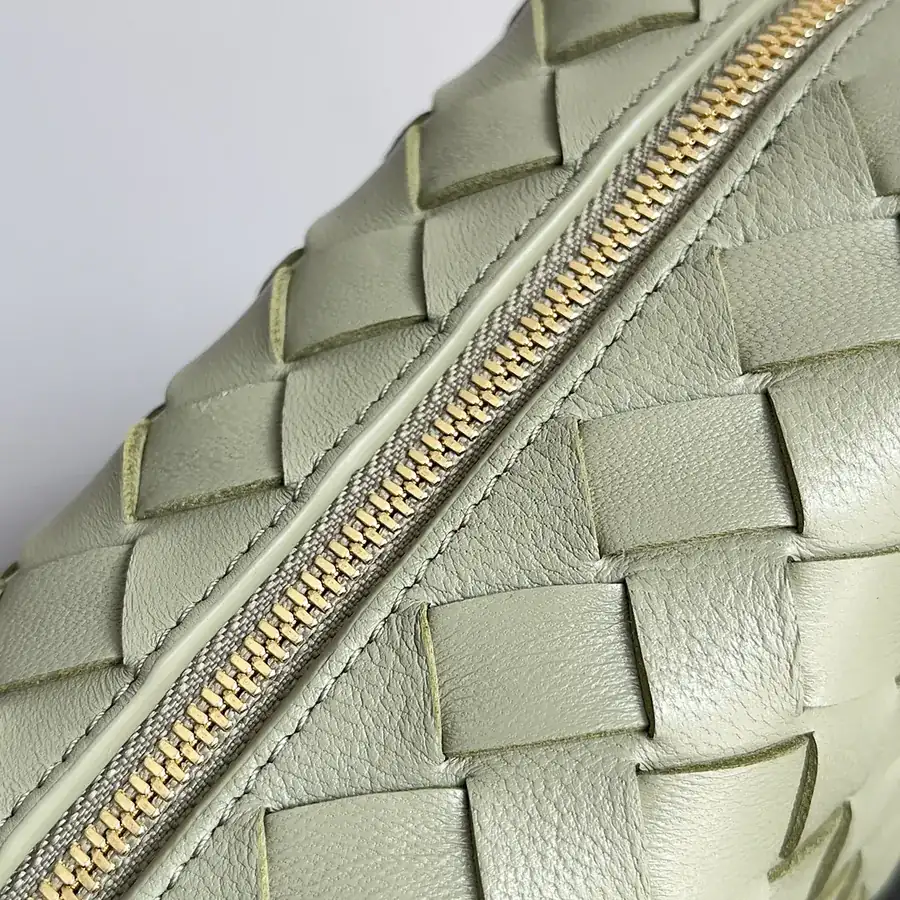 Botttega Veneta Loop Camera Bag in New Color (Generation 3)