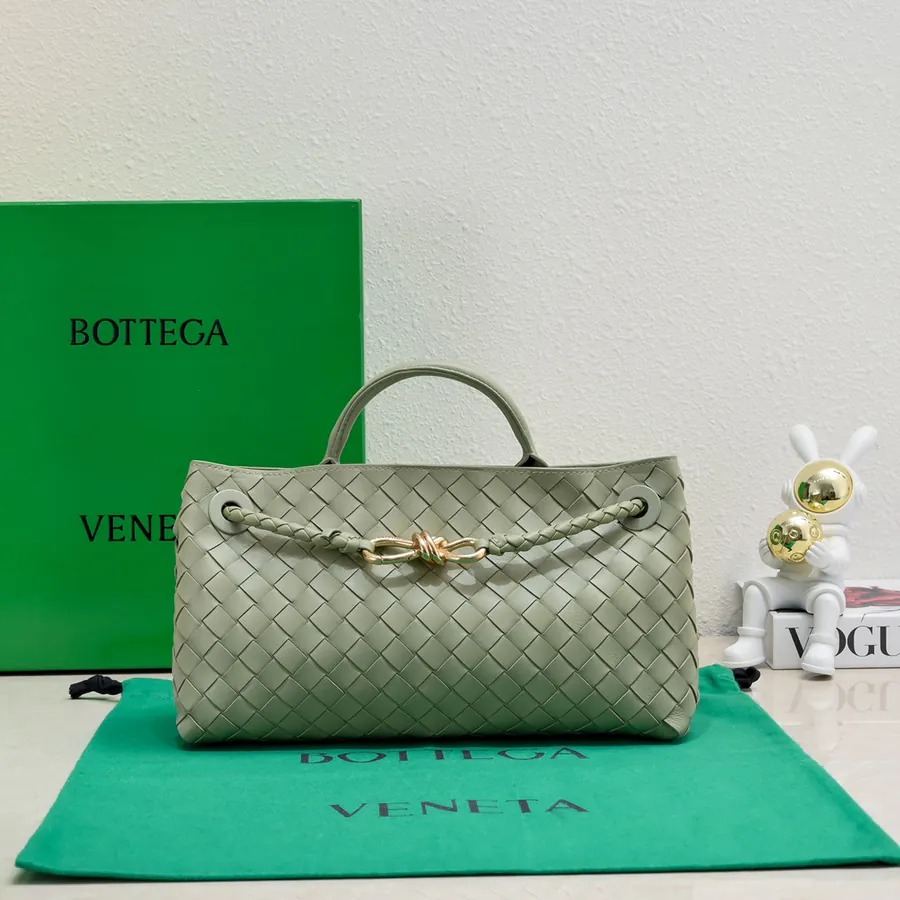 Bottega Veneta Andiamo Handbag