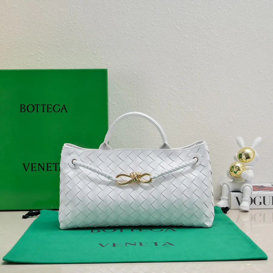 Bottega Veneta Andiamo Handbag