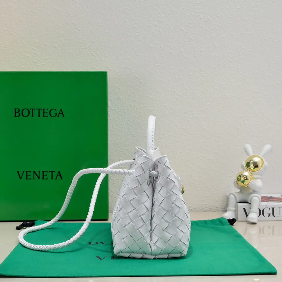 Bottega Veneta Andiamo Handbag