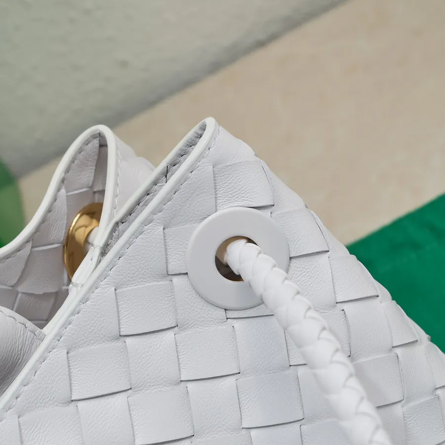 Bottega Veneta Andiamo Handbag
