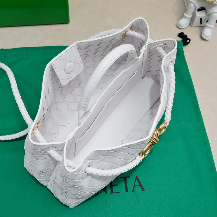 Bottega Veneta Andiamo Handbag