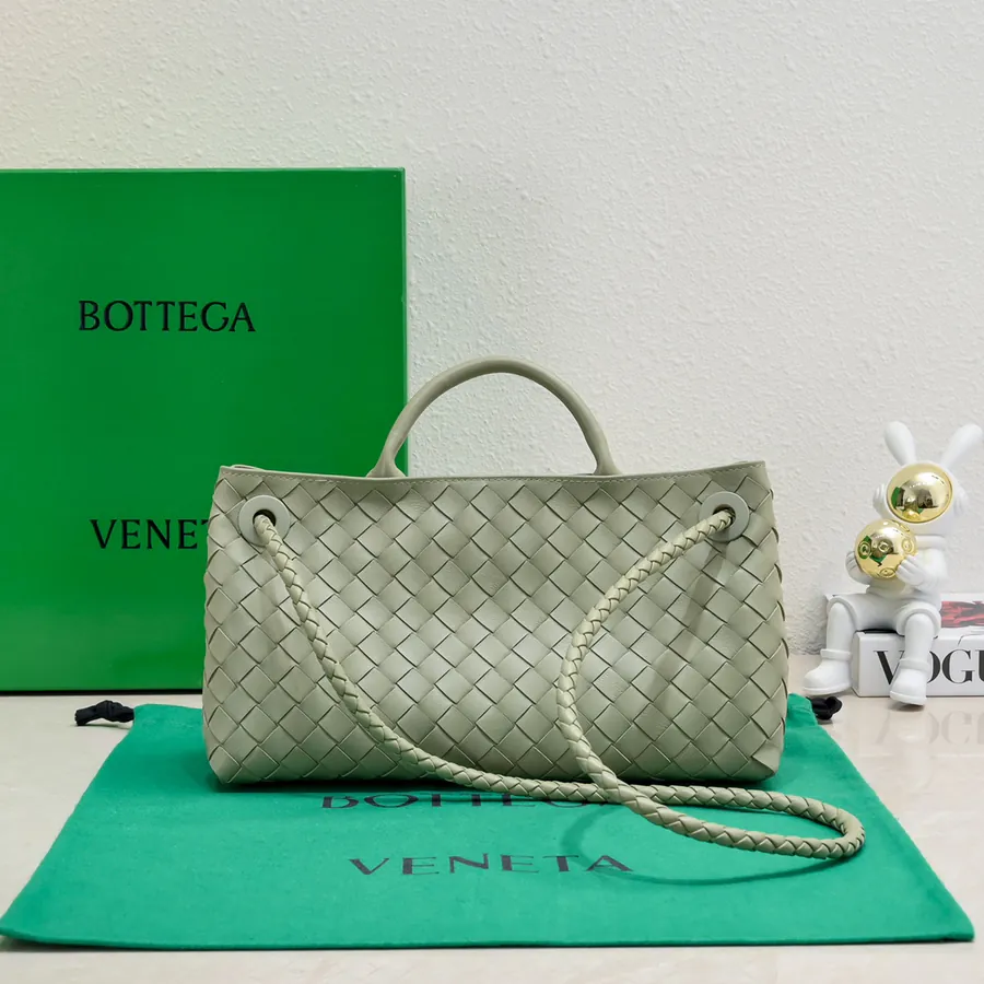 Bottega Veneta Andiamo Handbag