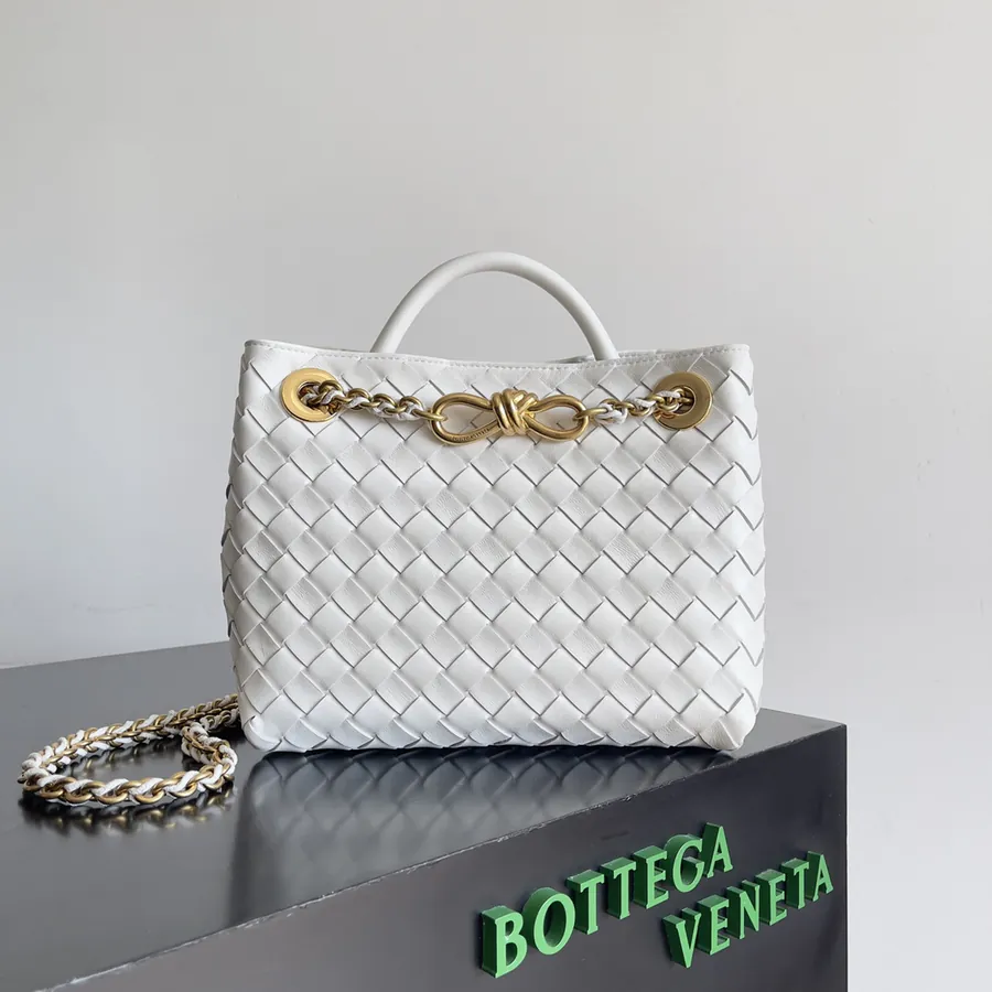 BOTTEGA VENETA Andiamo Mini Chain Bag