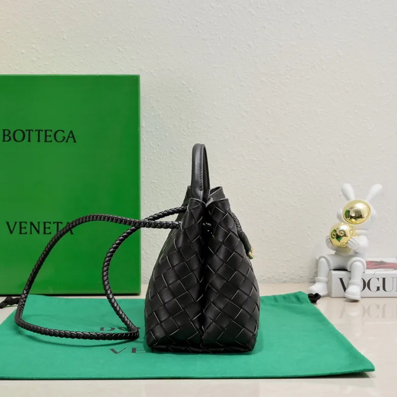 Bottega Veneta Andiamo Handbag