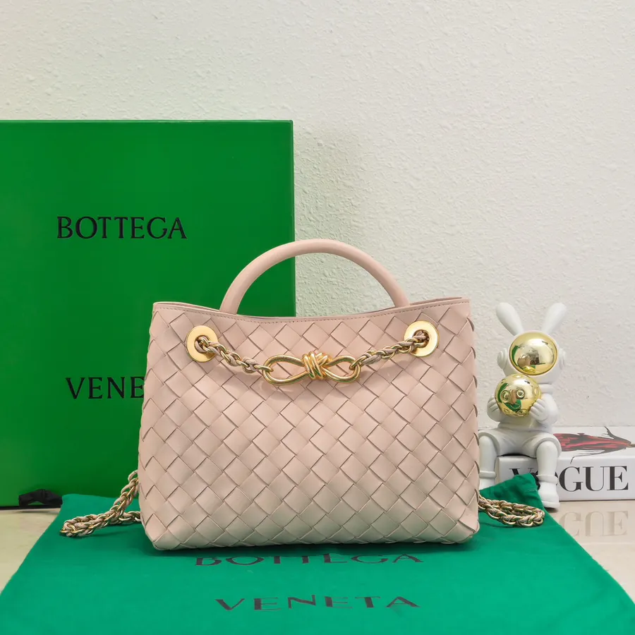 BOTTEGA VENETA Andiamo Small Chain Crossbody Bag
