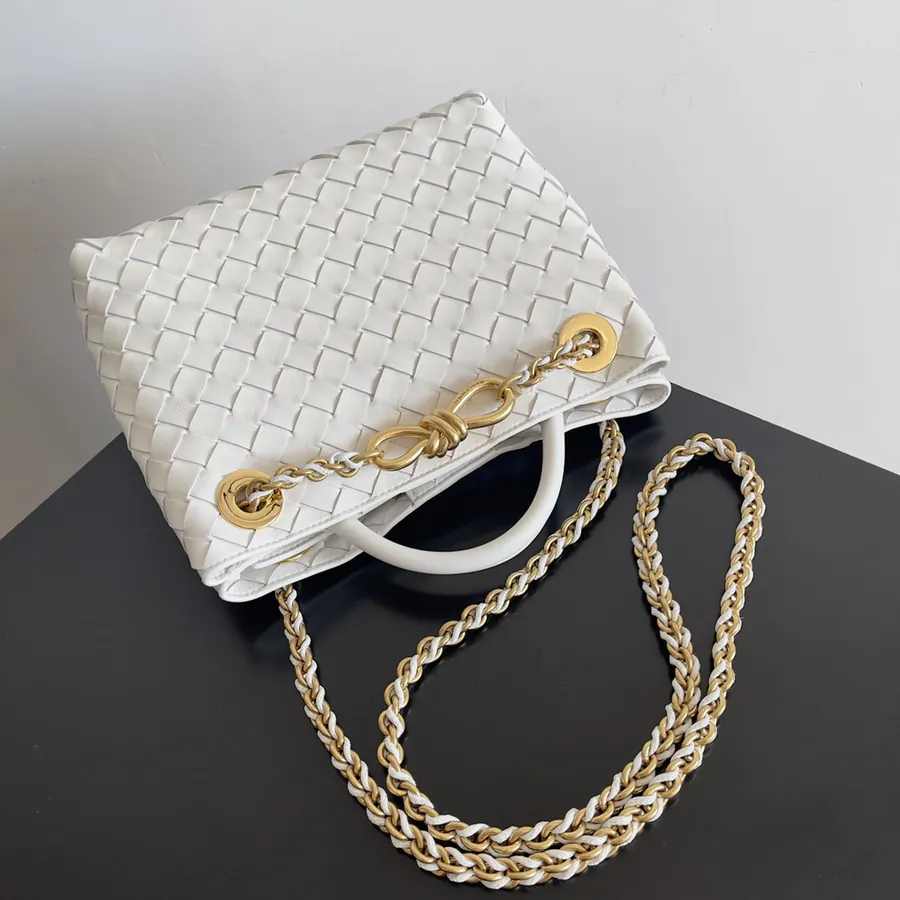 BOTTEGA VENETA Andiamo Mini Chain Bag