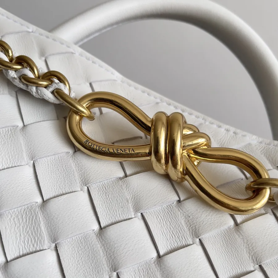 BOTTEGA VENETA Andiamo Mini Chain Bag