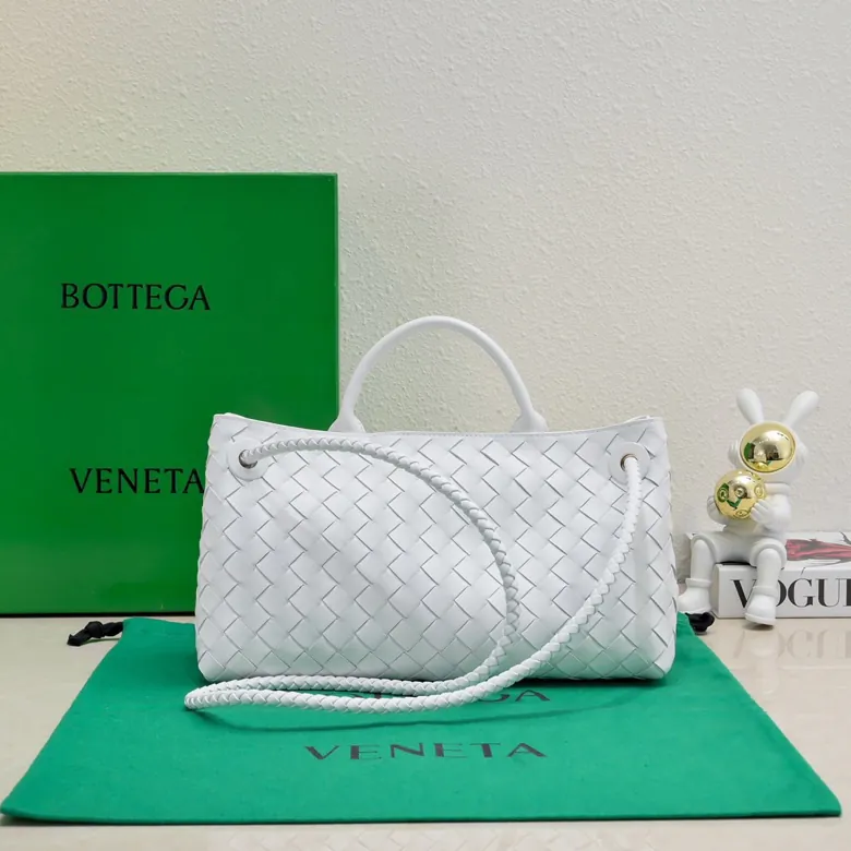 Bottega Veneta Andiamo Handbag