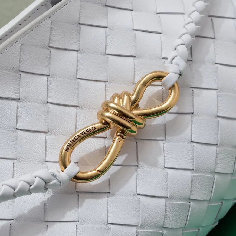 Bottega Veneta Andiamo Handbag