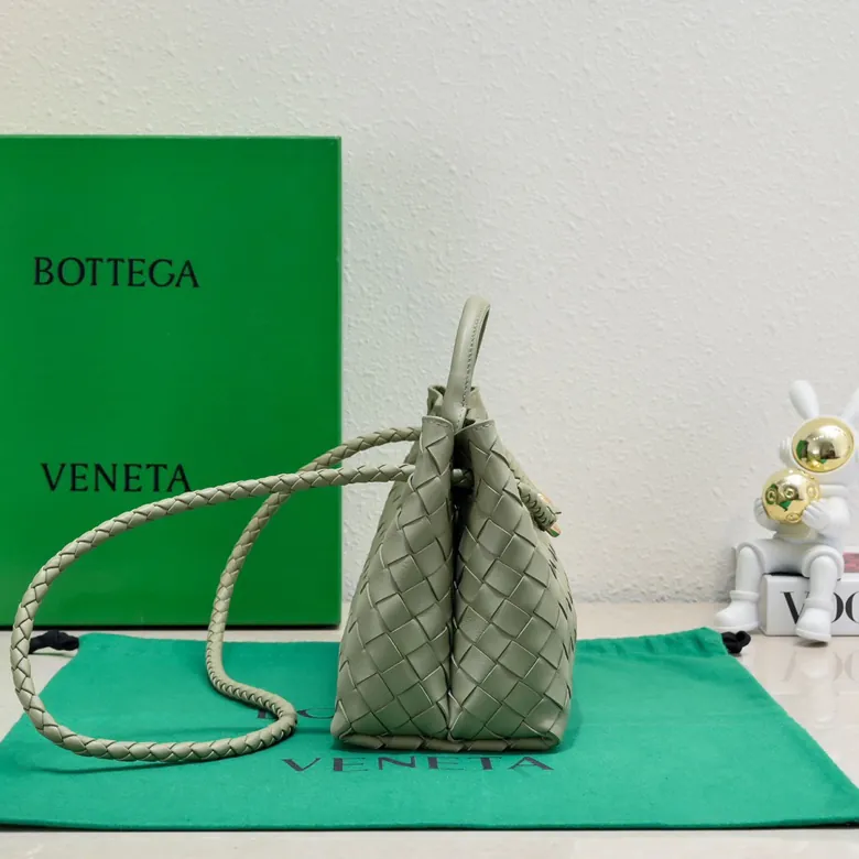 Bottega Veneta Andiamo Handbag