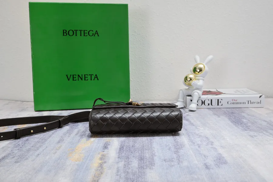 Bottega Veneta Mini Andiamo Timeless Elegance