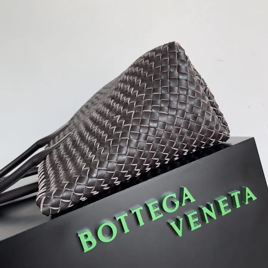 Bottega Veneta Cabat Large Size