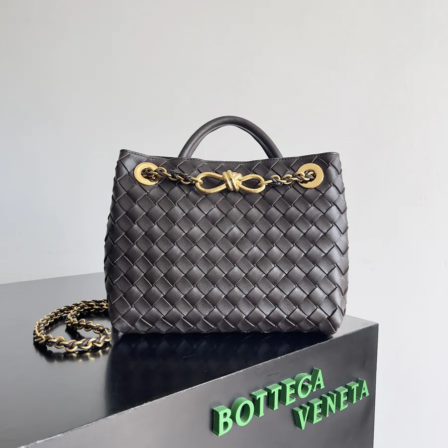 BOTTEGA VENETA Andiamo Mini Chain Crossbody Bag