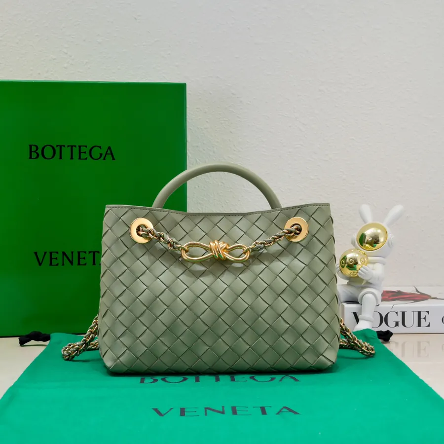 BOTTEGA VENETA Andiamo Small Chain Bag