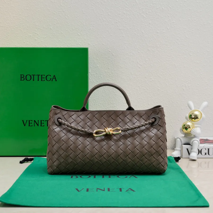 Bottega Veneta Andiamo Handbag