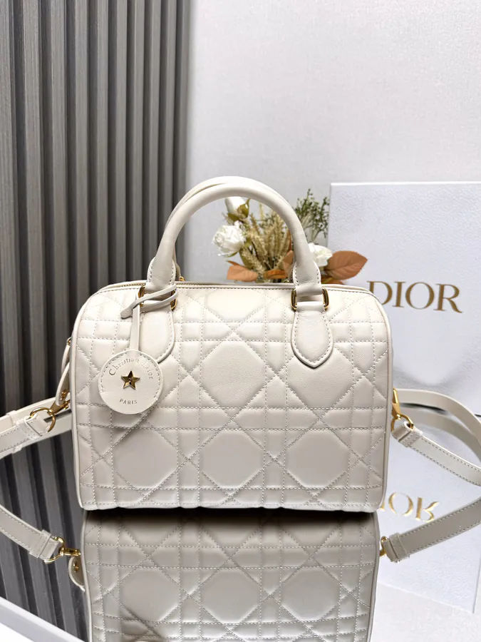 Dio.r Groove 25 Bucket Bag Large Size