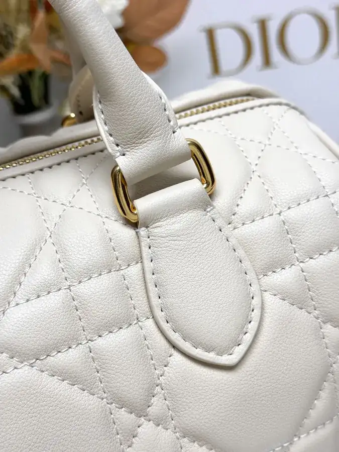 Dio.r Groove 25 Bucket Bag Large Size