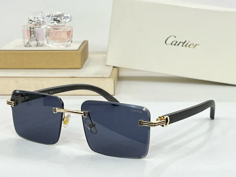 P95 Cartie