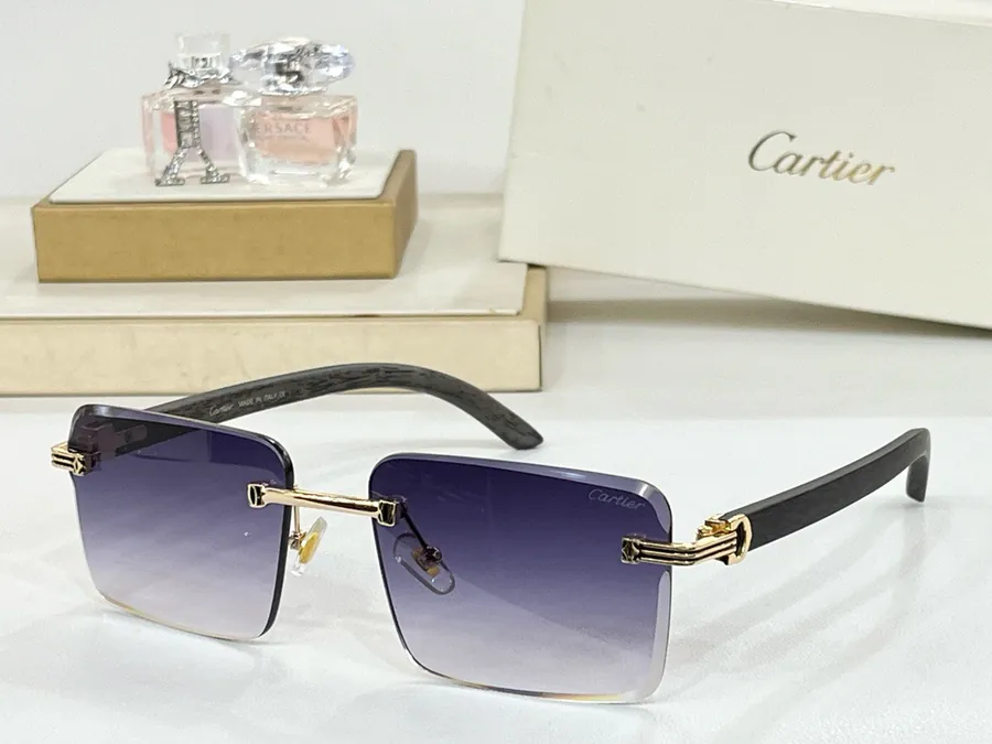 P95 Cartie