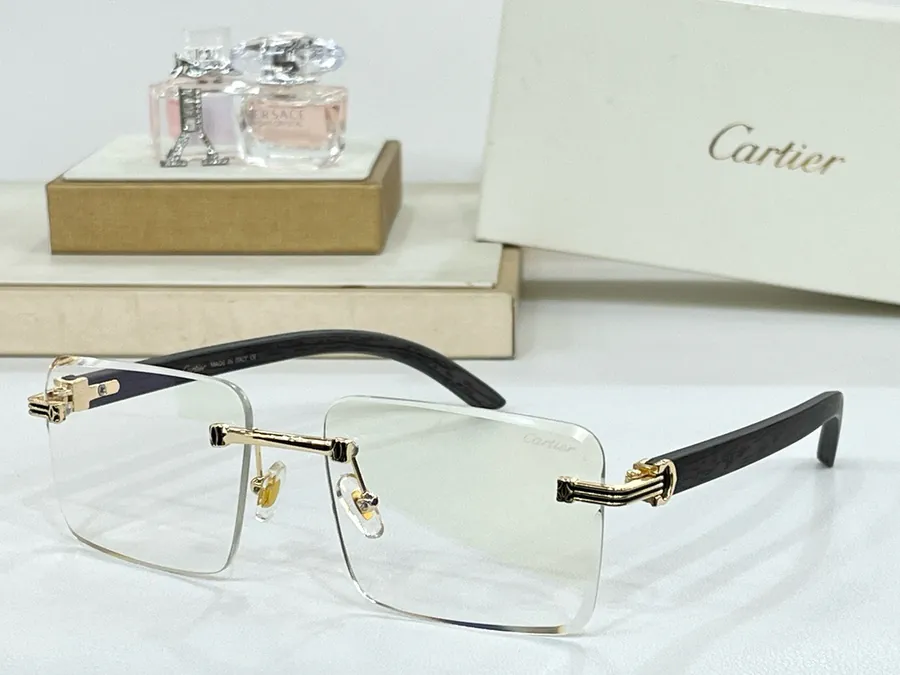 P95 Cartie