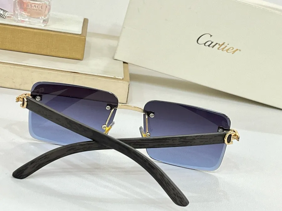 P95 Cartie