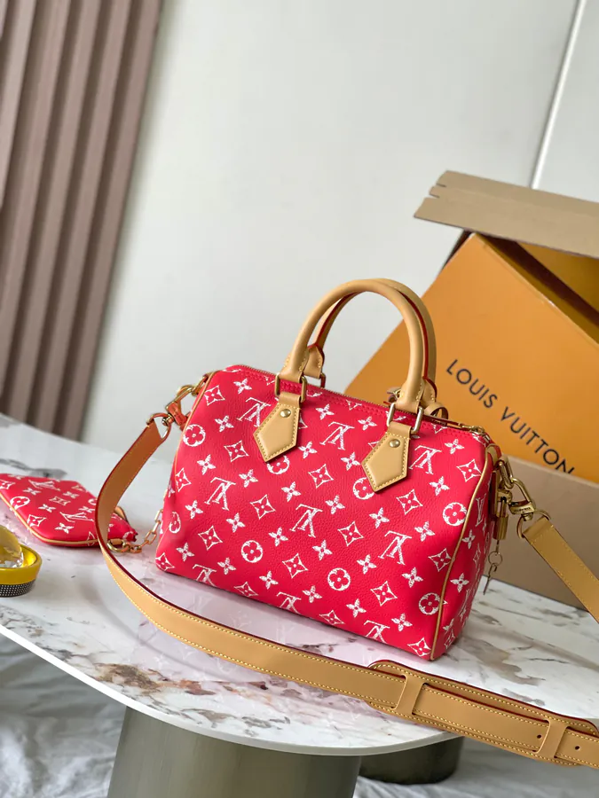 Pharrell Williams Bandouliere 25 Handbag from 2024 Autumn Winter Collection