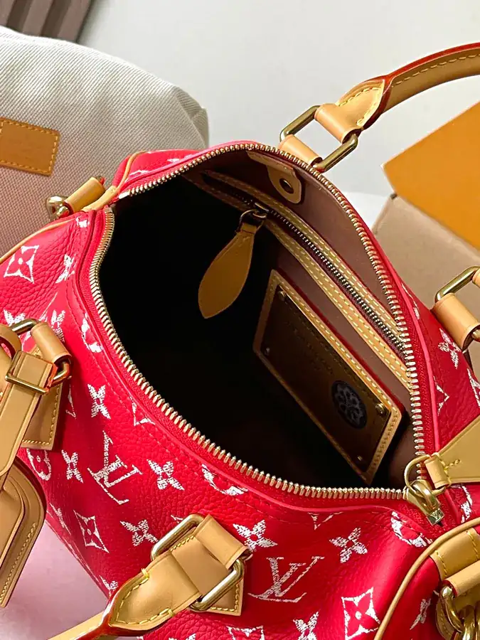 Pharrell Williams Bandouliere 25 Handbag from 2024 Autumn Winter Collection
