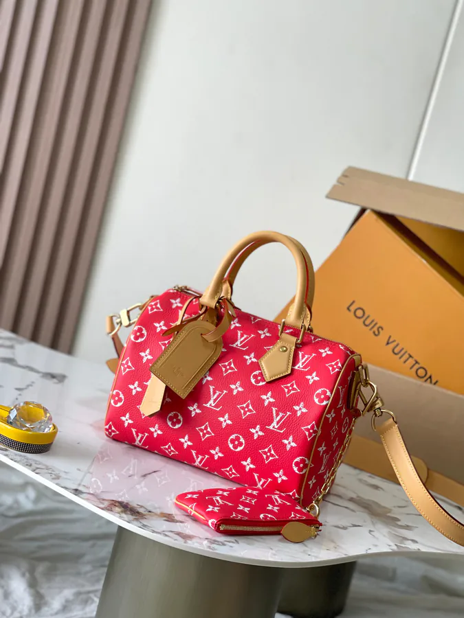 Pharrell Williams Bandouliere 25 Handbag From Paris to Virginia Collection