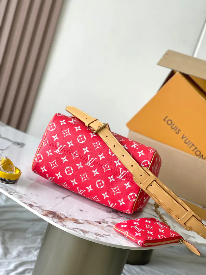 Pharrell Williams Bandouliere 25 Handbag From Paris to Virginia Collection