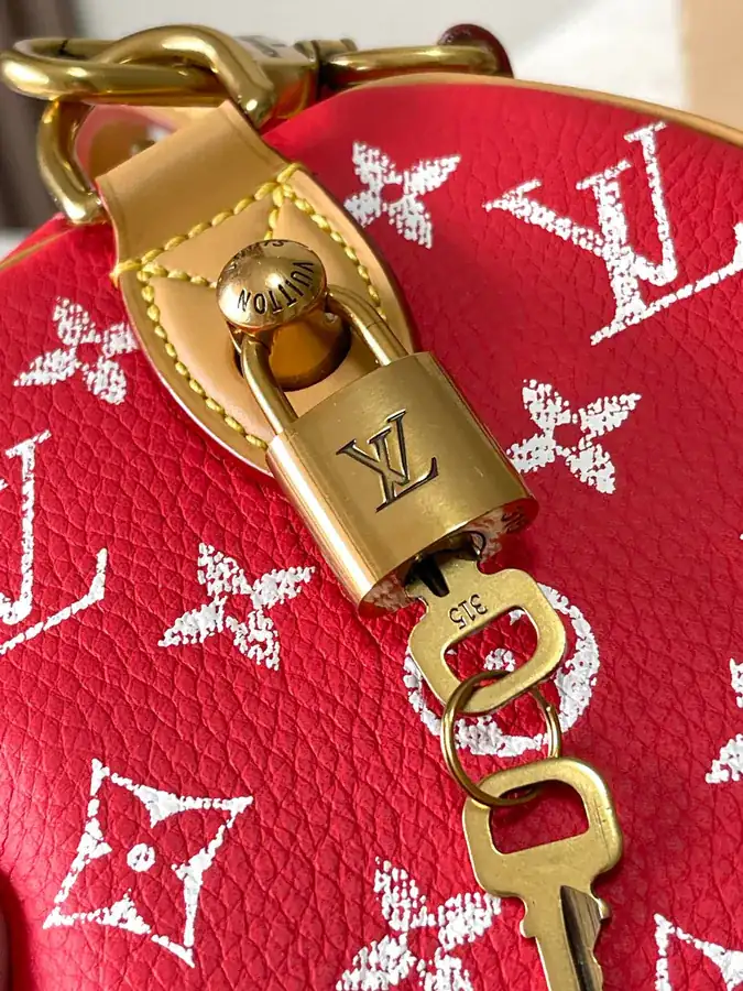 Pharrell Williams Bandouliere 25 Handbag From Paris to Virginia Collection