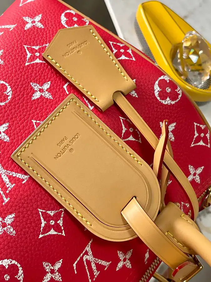 Pharrell Williams Bandouliere 25 Handbag From Paris to Virginia Collection