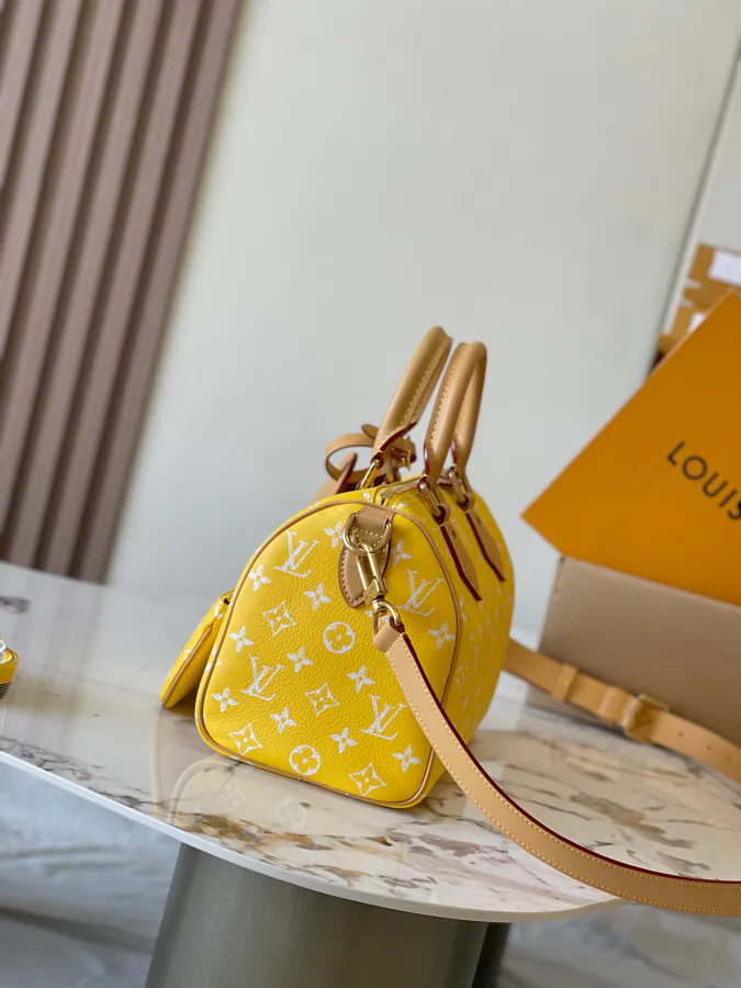 Pharrell Williams Bandouliere 25 Handbag From Paris to Virginia Collection