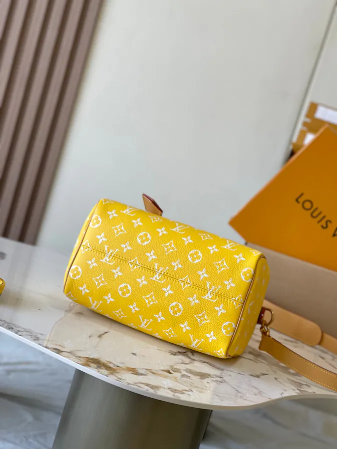 Pharrell Williams Bandouliere 25 Handbag From Paris to Virginia Collection