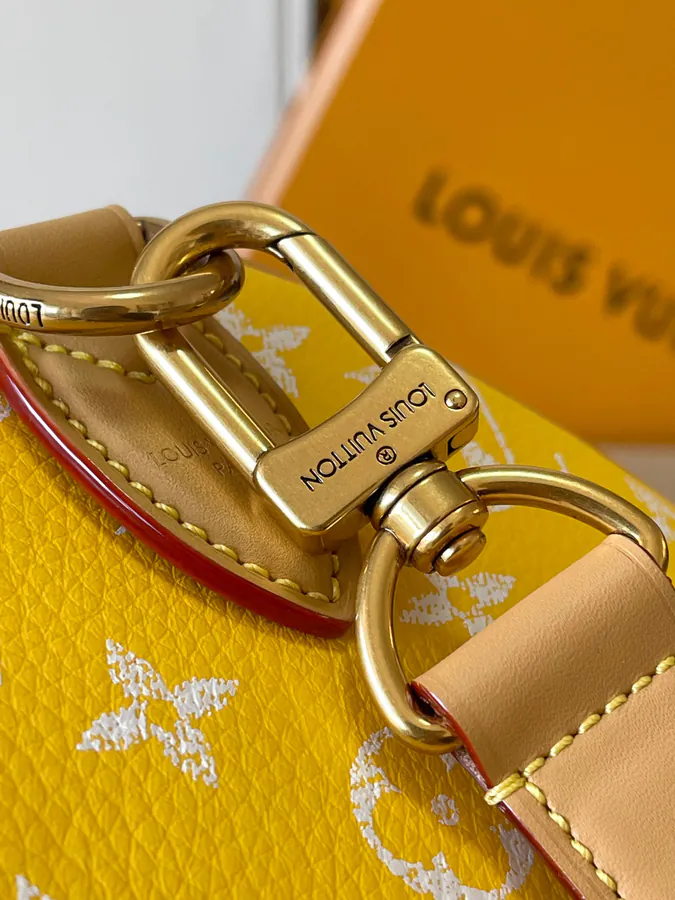 Pharrell Williams Bandouliere 25 Handbag From Paris to Virginia Collection